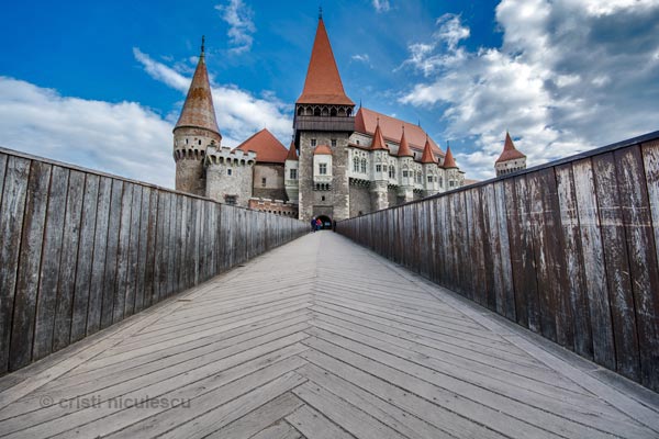 Foto: Cristi Niculescu