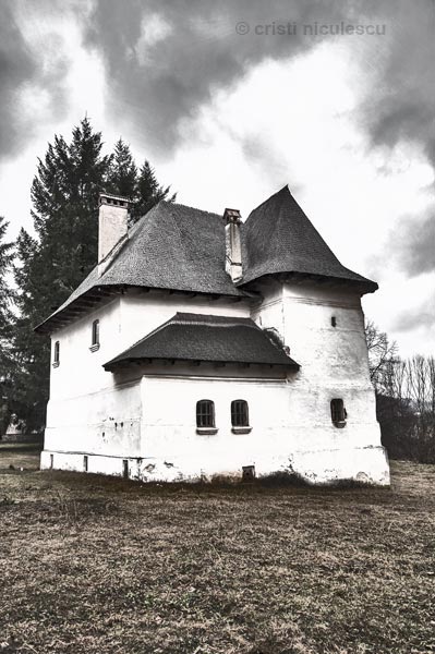 Foto. Cristi Niculescu