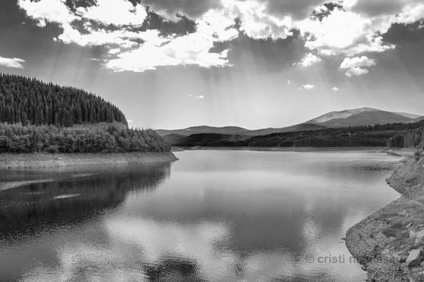 Foto: Cristi Niculescu