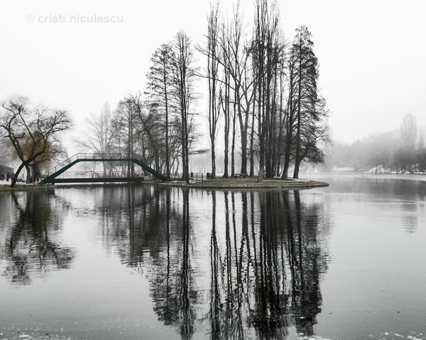 Foto: Cristi Niculescu