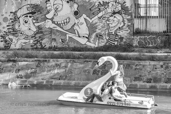 Foto: Cristi Niculescu