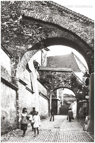 Foto: Cristi Niculescu