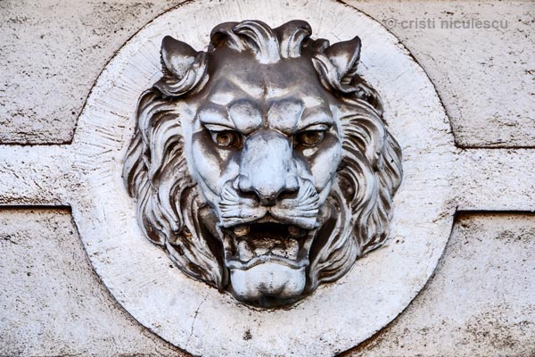 Foto: Cristi Niculescu