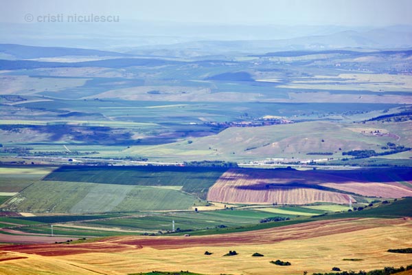 Foto: Cristi Niculescu