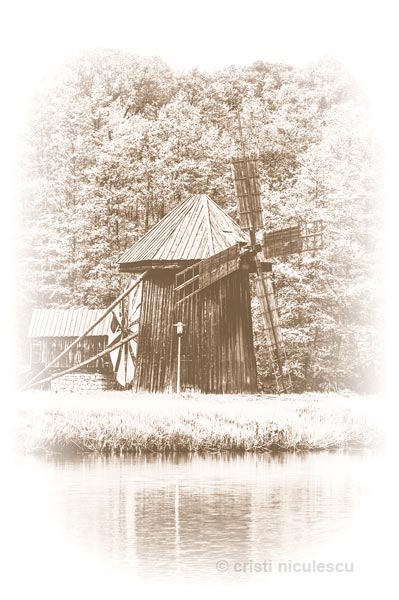 Foto: Cristi Niculescu