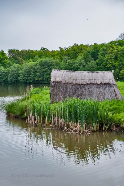 Foto: Cristi Niculescu