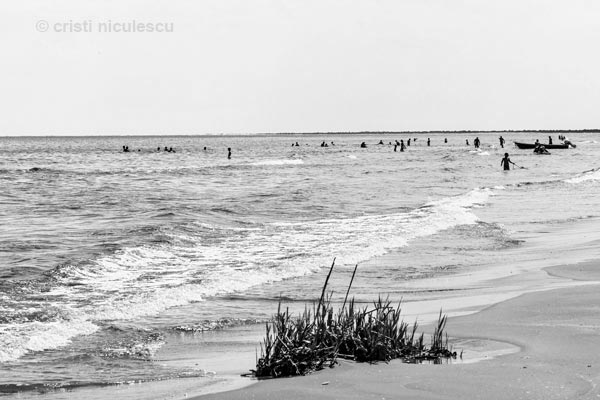 Foto: Cristi Niculescu