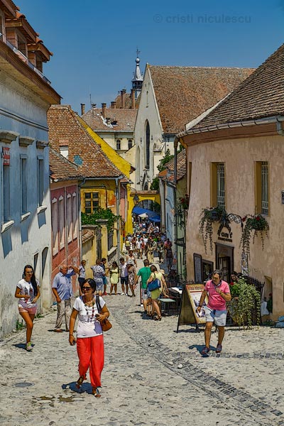 Foto: Cristi Niculescu