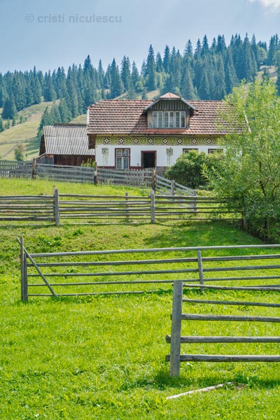 Foto: Cristi Niculescu