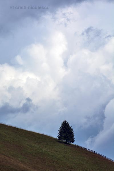 Foto: Cristi Niculescu