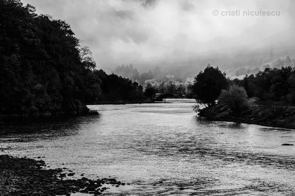 Foto: Cristi Niculescu