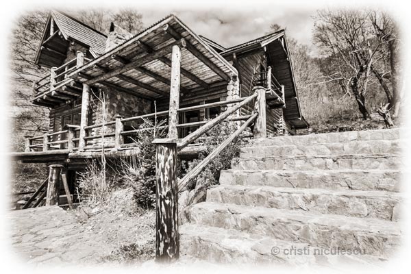 Foto: Cristi Niculescu