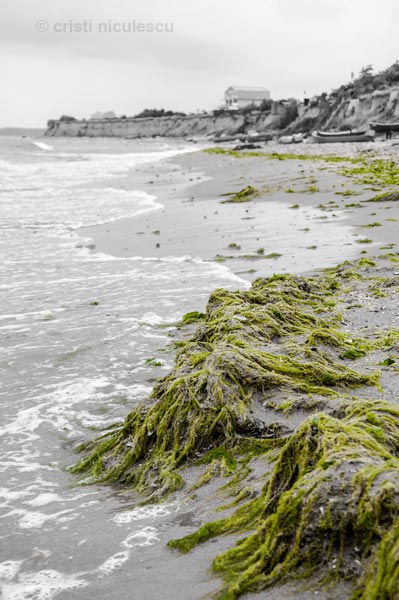 Foto: Cristi Niculescu