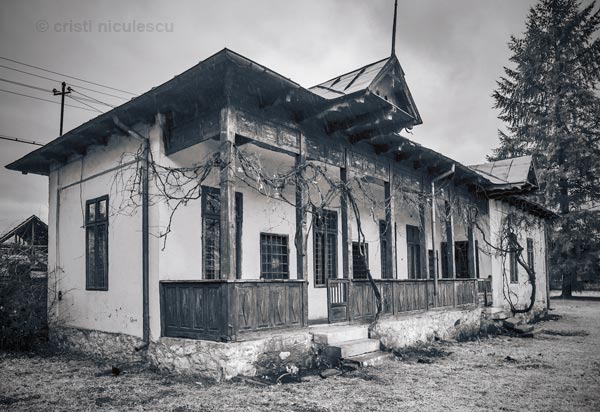 Foto: Cristi Niculescu