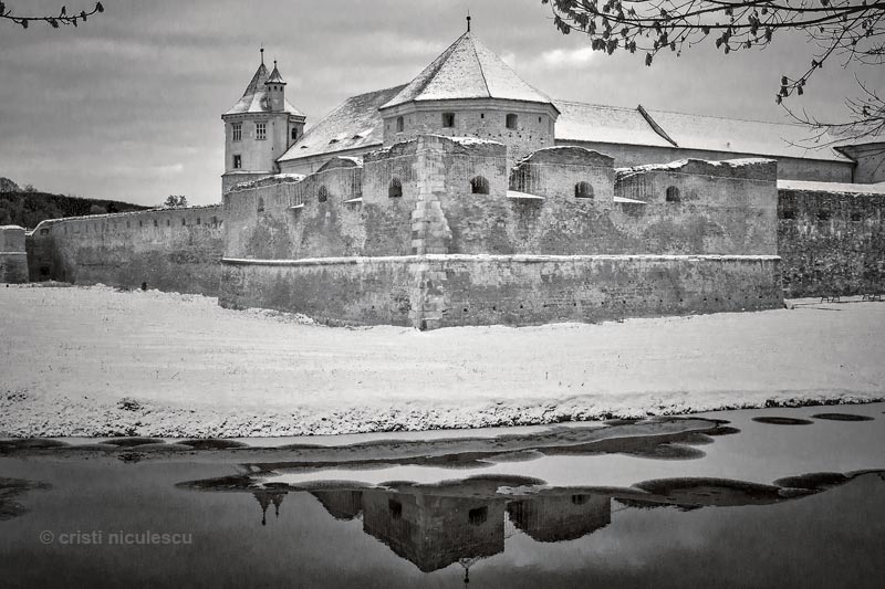 Foto: Cristi Niculescu