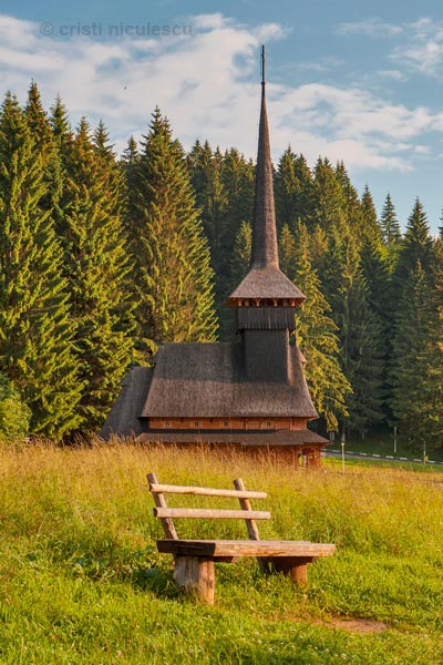 Foto: Cristi Niculescu