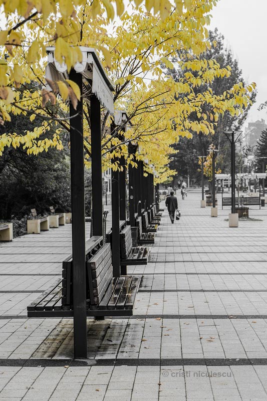 Foto: Cristi Niculescu