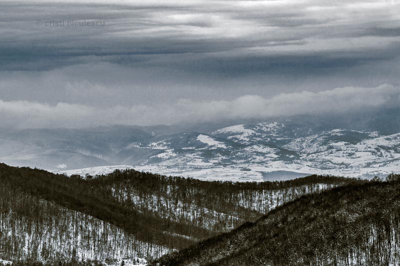 Foto: Cristi Niculescu