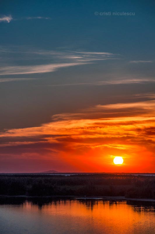 Foto: Cristi Niculescu