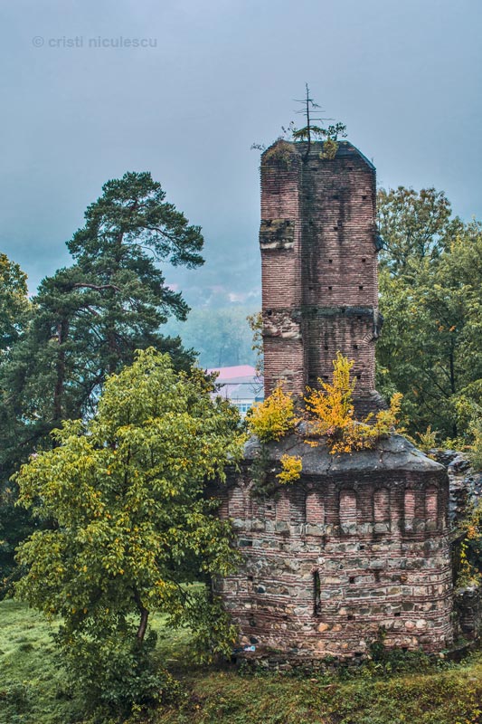 Foto: Cristi Niculescu