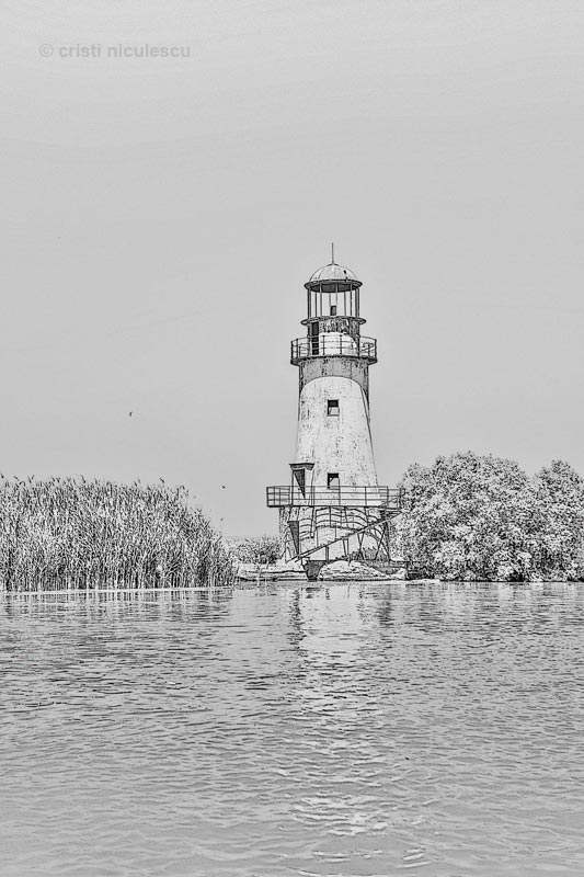 Foto: Cristi Niculescu