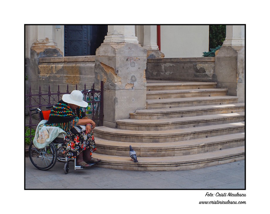 Conversatie cu porumbel